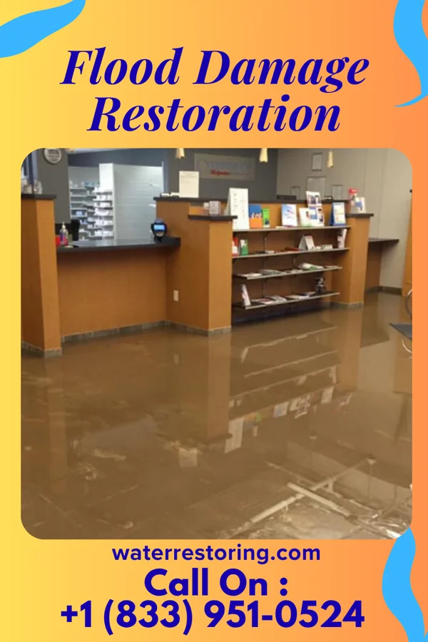 Flood Damage Restoration in Ubly, MI
