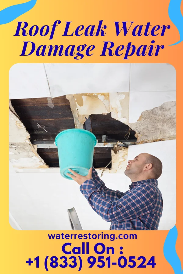 Roof Leak Water Damage Repair in Ubly, MI