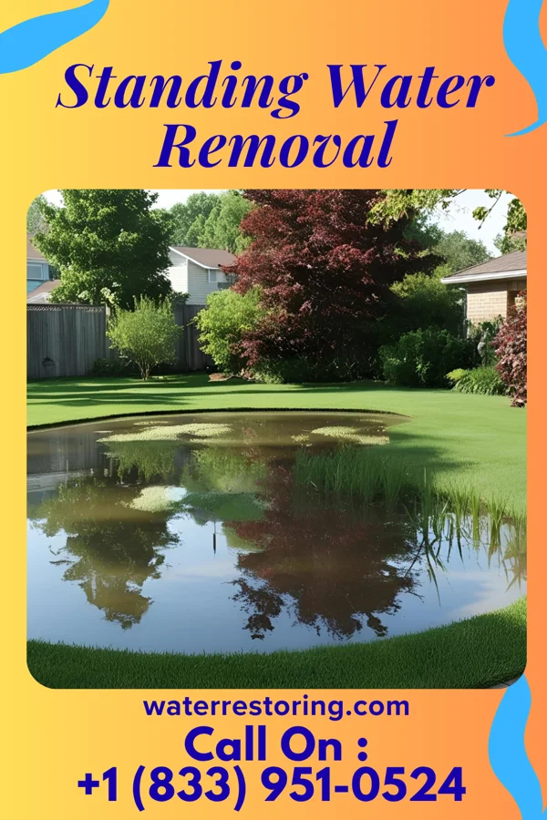 Standing Water Removal in Ubly, MI
